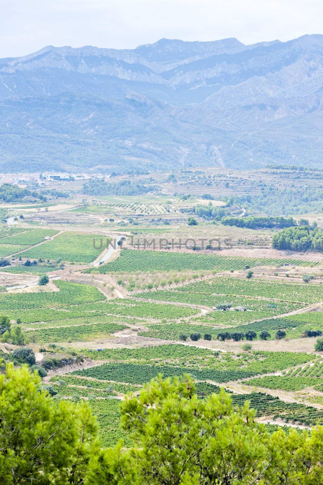 landscape at Coll del Moro, Catalonia, Spain