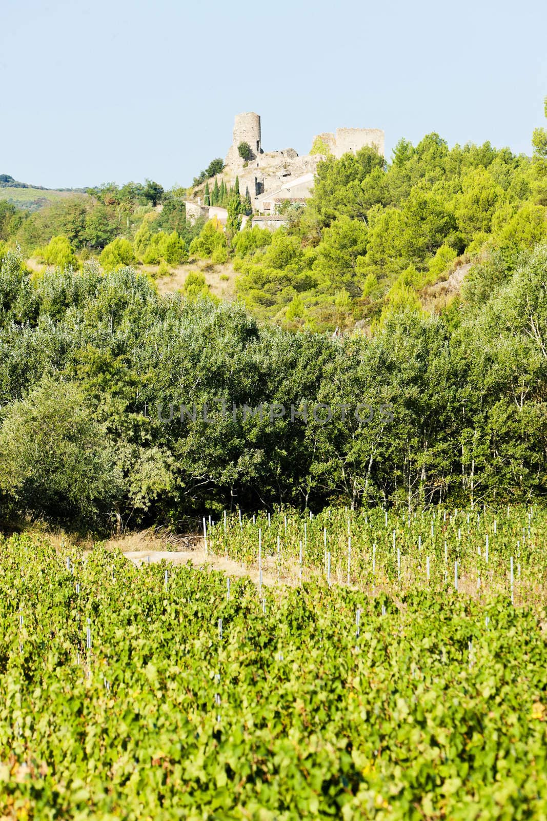 castle in Durban-Corbiere with vineyards, Languedoc-Roussillon, France