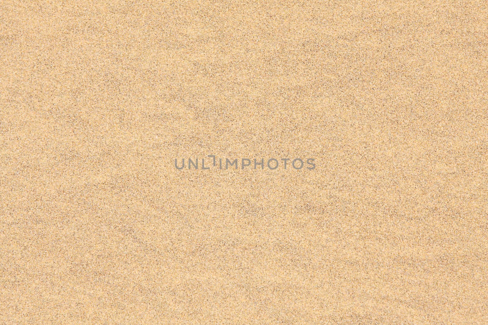 Abstract background of sand at the beach