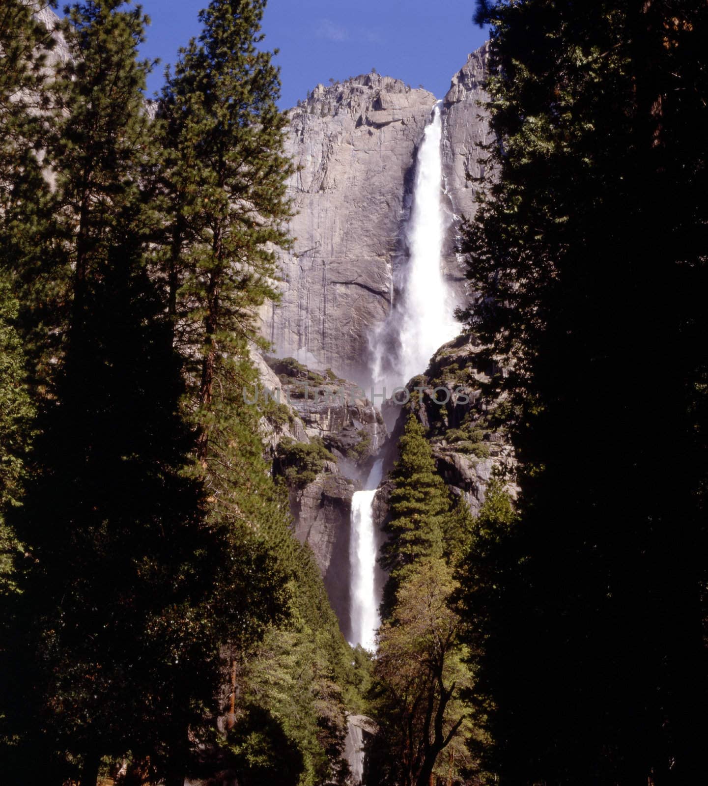 Yosemite Falls by jol66