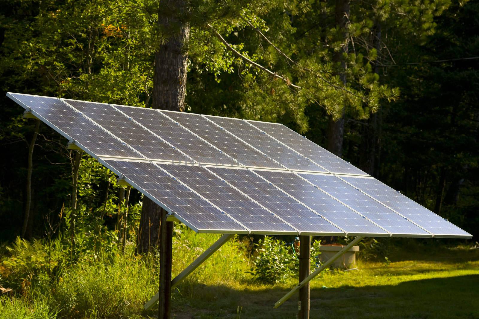 A large solar panel in a forest sunbeam on a summer morning.