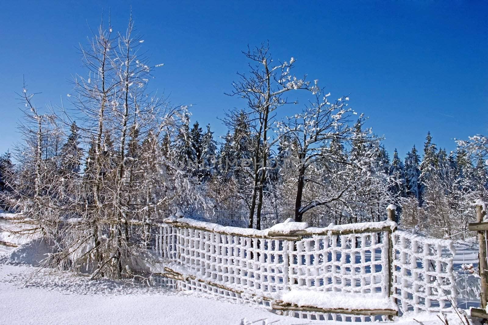 winter landscape with snow fence
