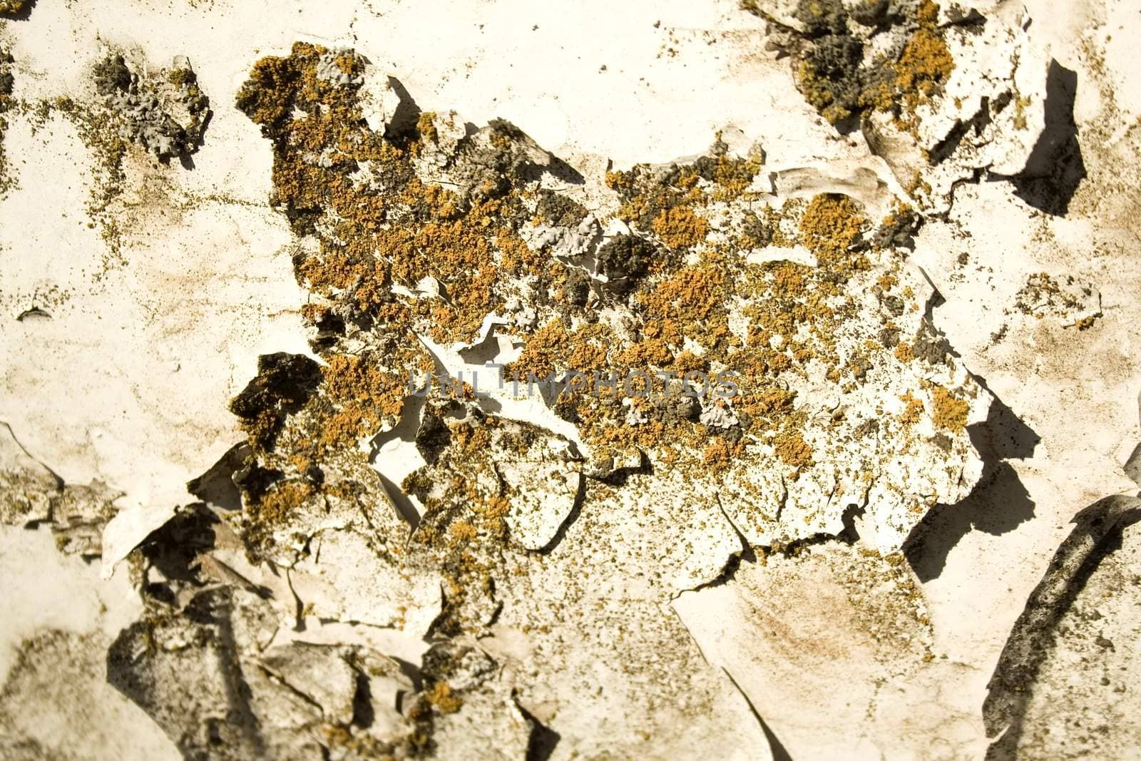 Abstract background