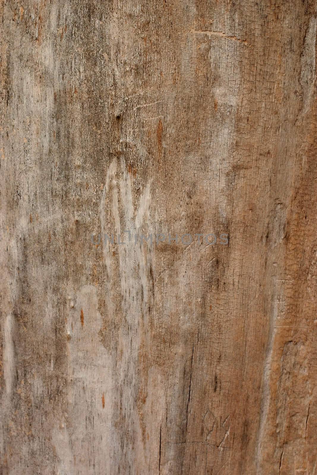 wooden texture background by zhu_zhu