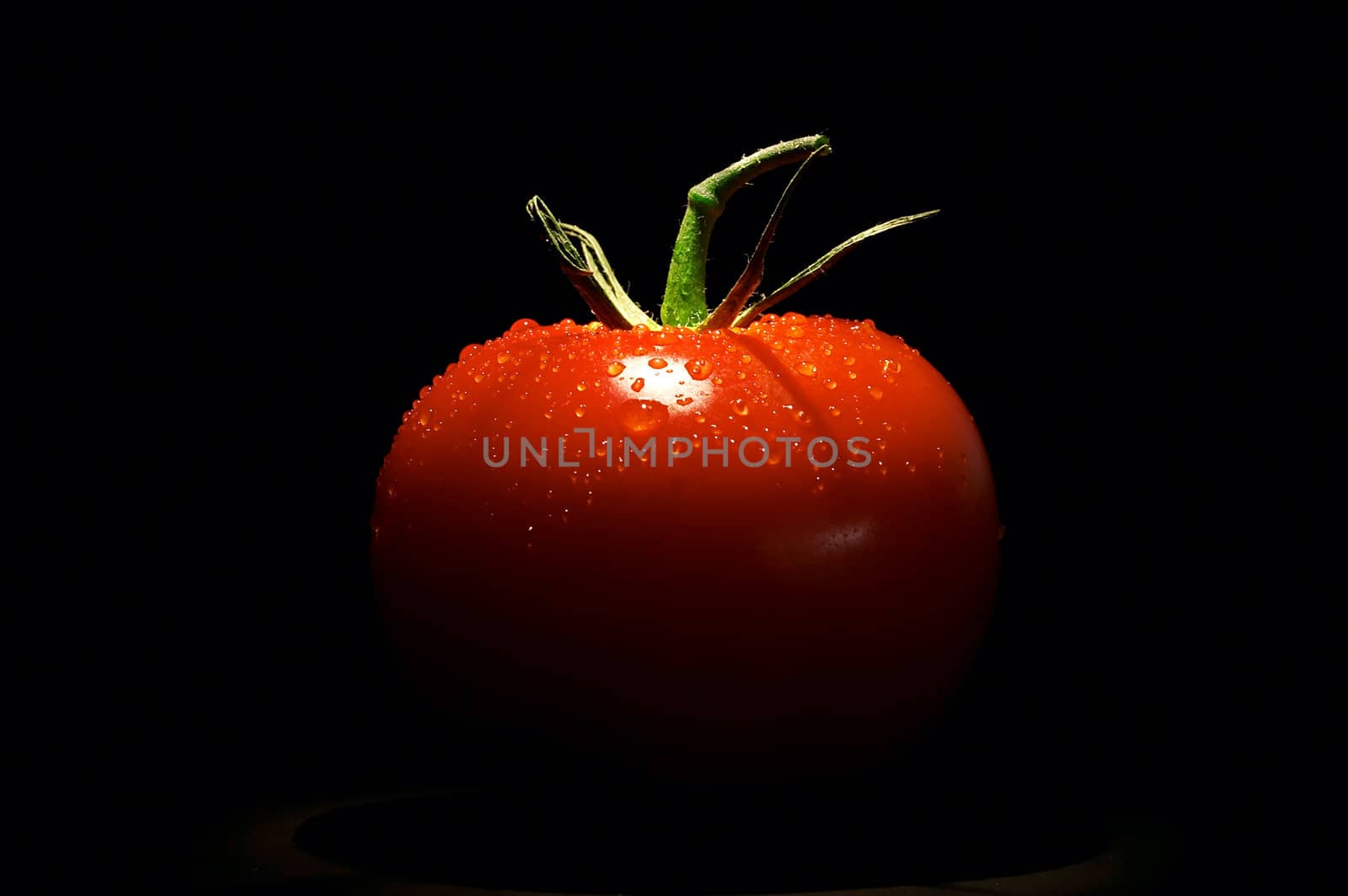 tomato on black background by zhu_zhu