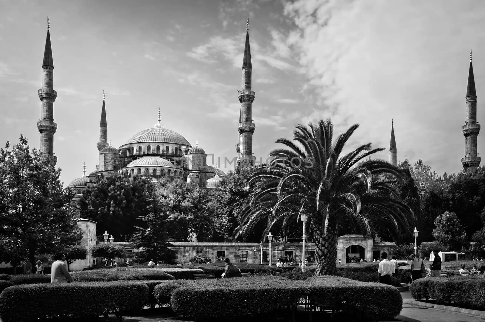 The Blue Mosque or Sultan Ahmed Mosque in Istanbul, Turkey in black and white 