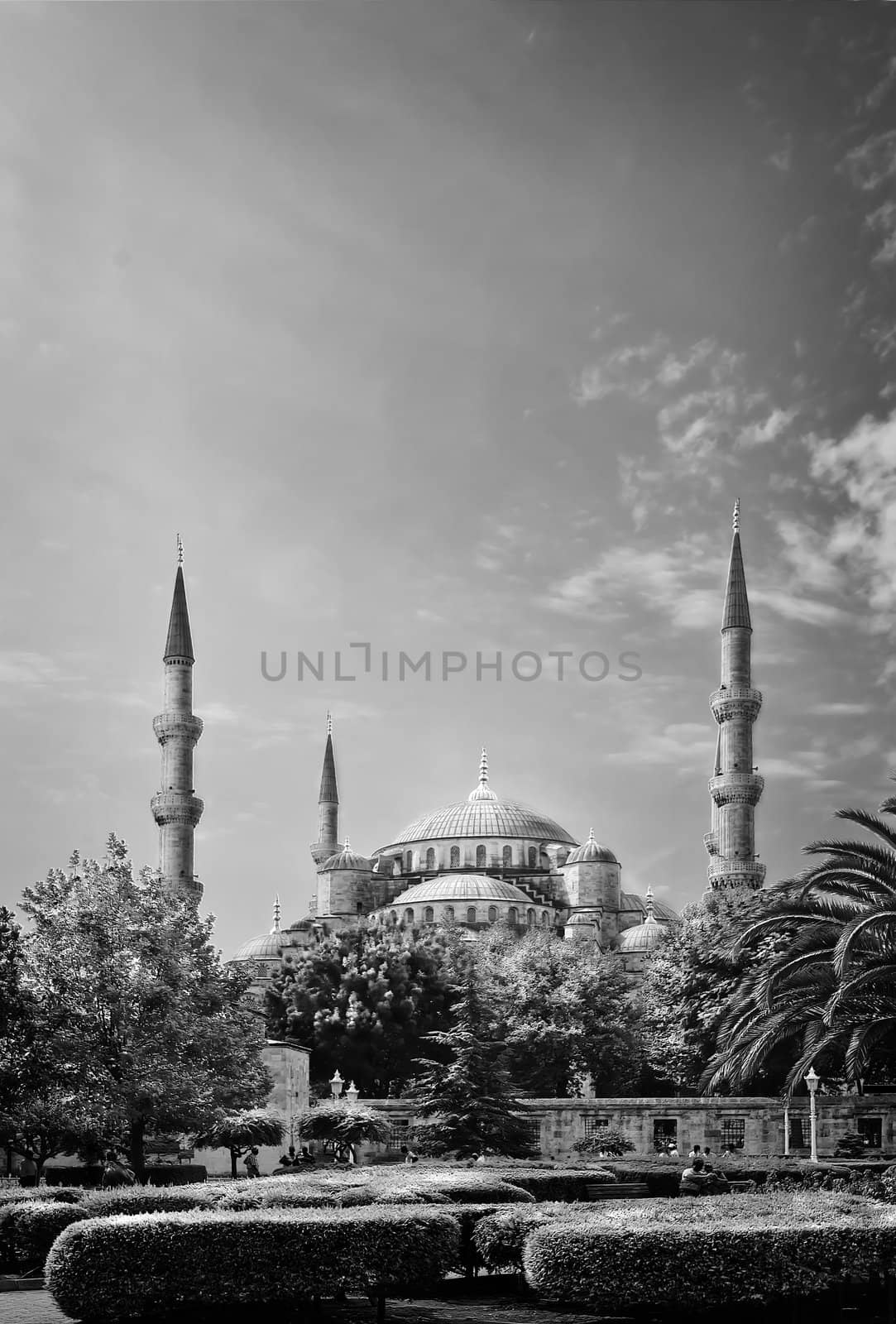 The Blue Mosque or Sultan Ahmed Mosque in Istanbul, Turkey in black and white 