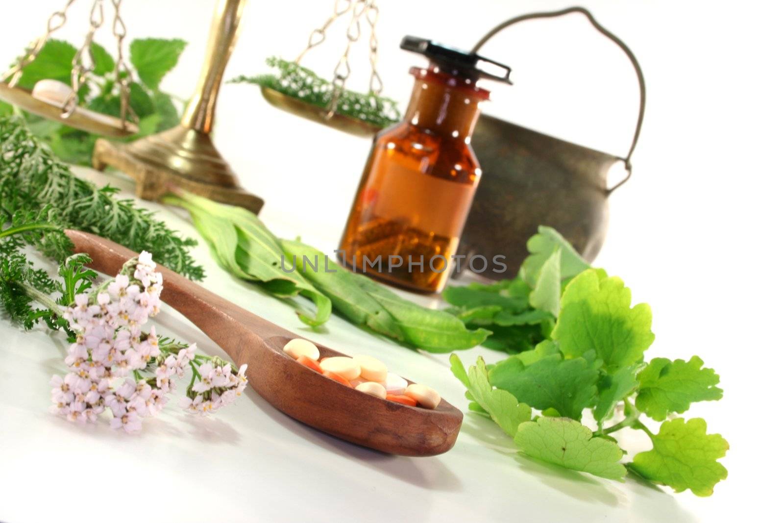 Pharmacists scale with mortars, Apothecary bottle and fresh herbs