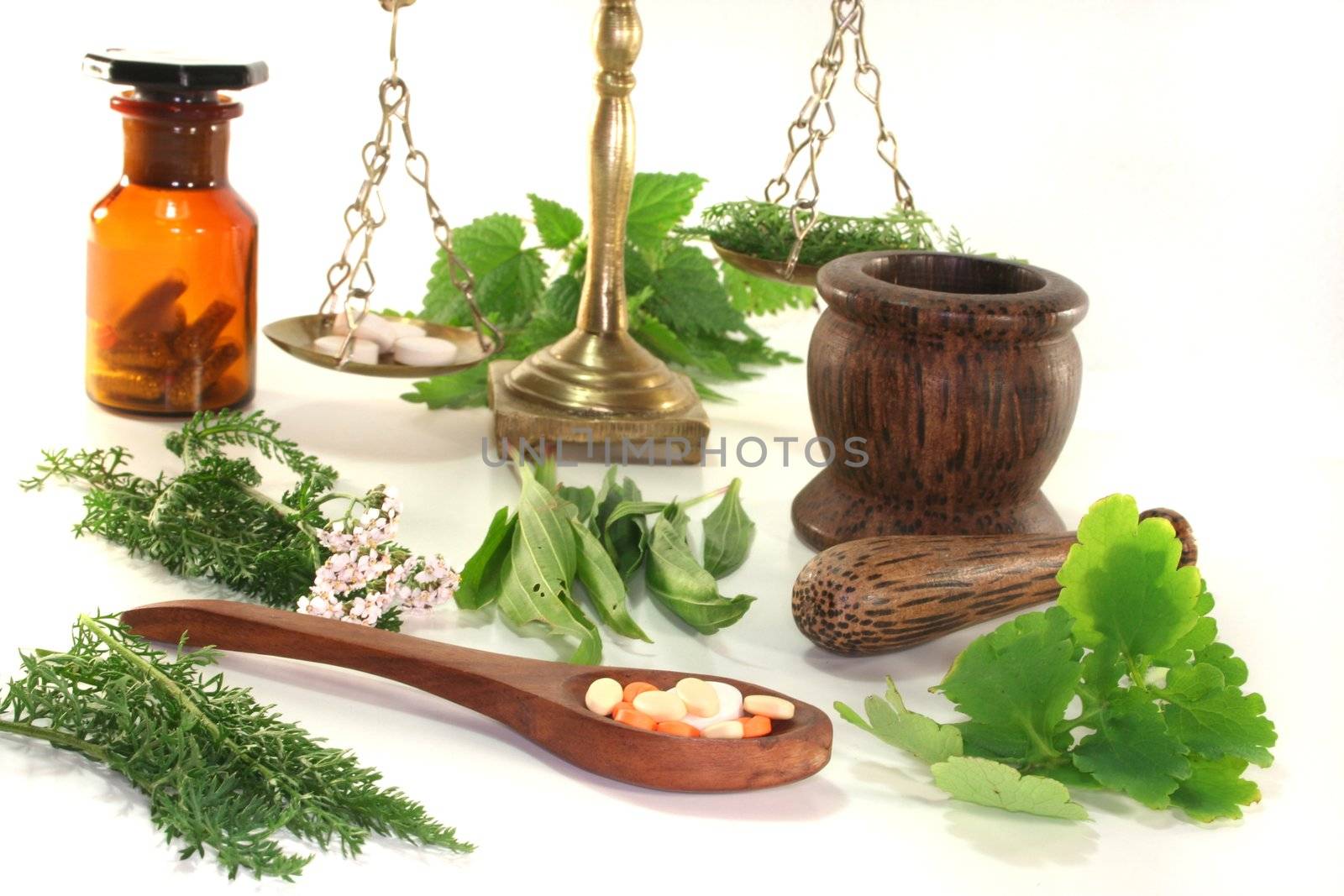 Pharmacists scale with mortars, Apothecary bottle and fresh herbs