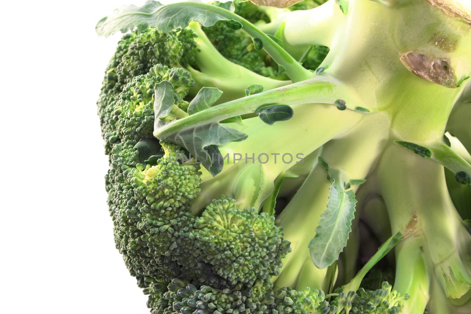 Broccoli by discovery