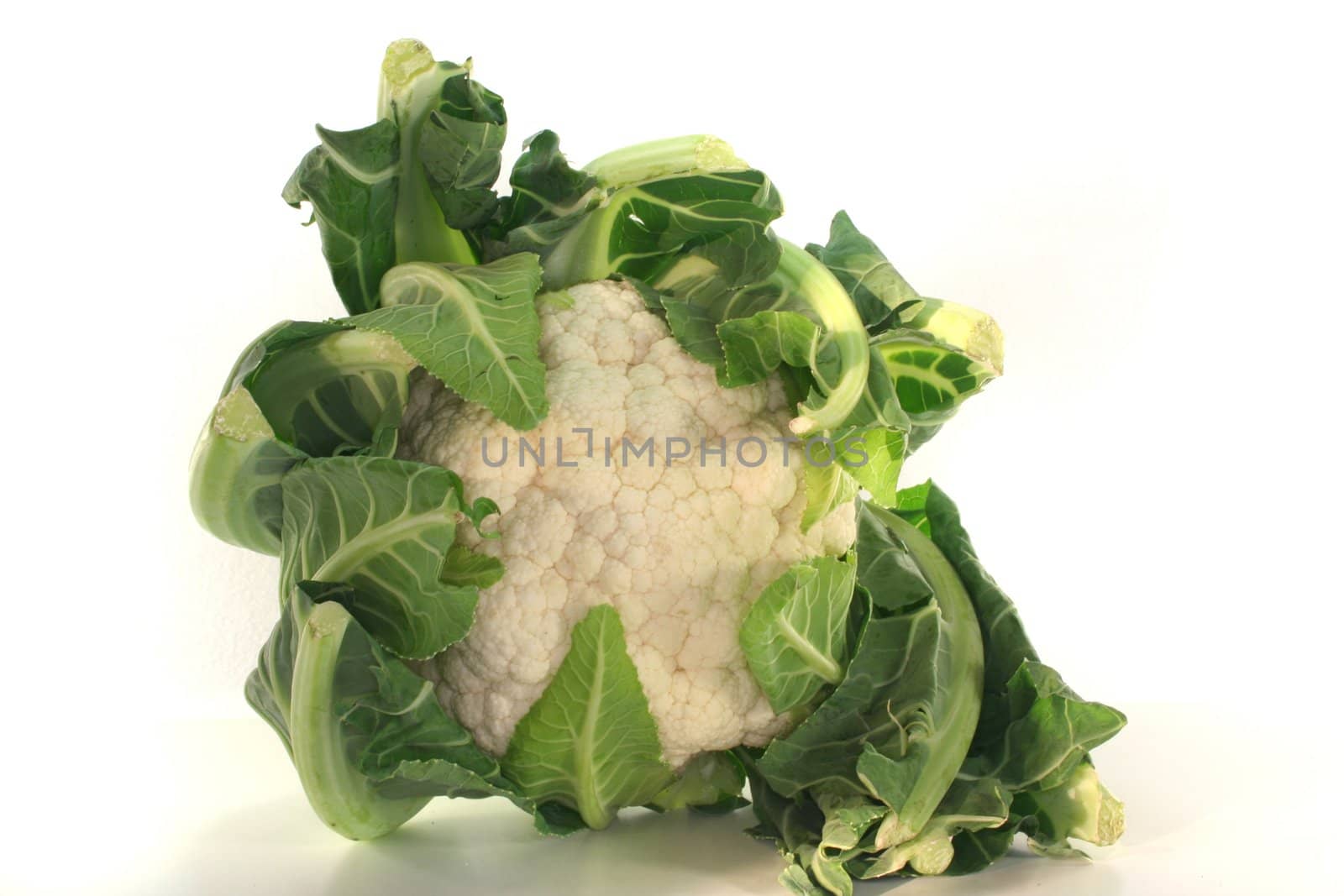 fresh head of Cauliflower on a white background