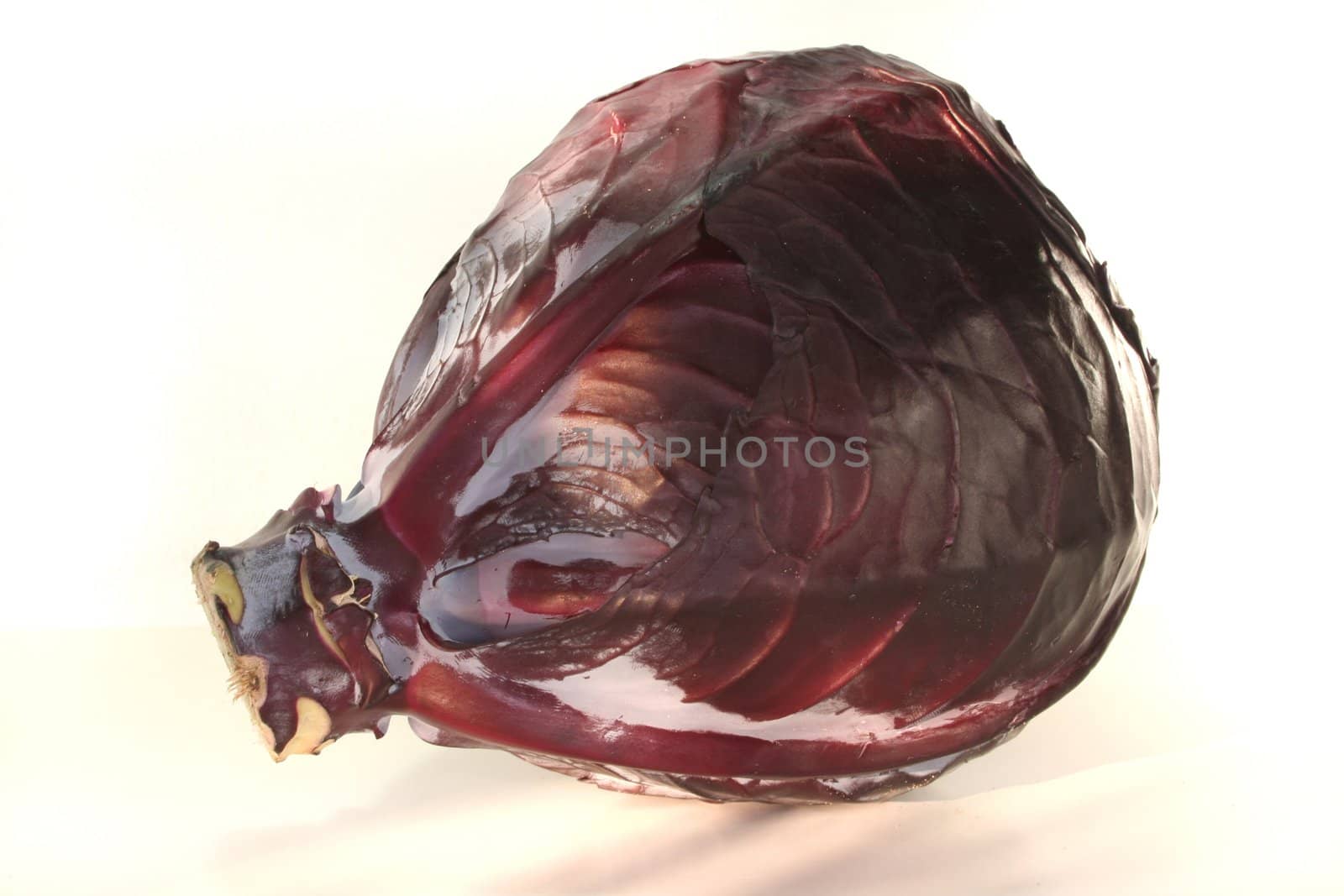 Red cabbage by discovery