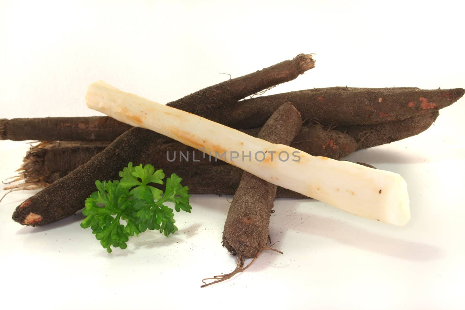 fresh Salsify with parsley on a white background