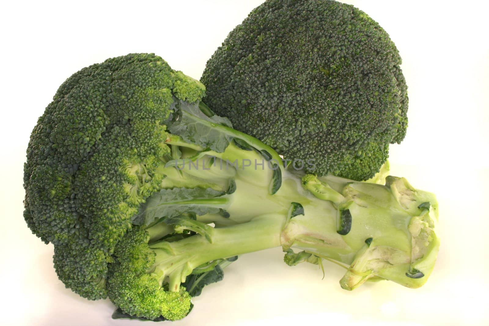 two green heads of broccoli on a white background