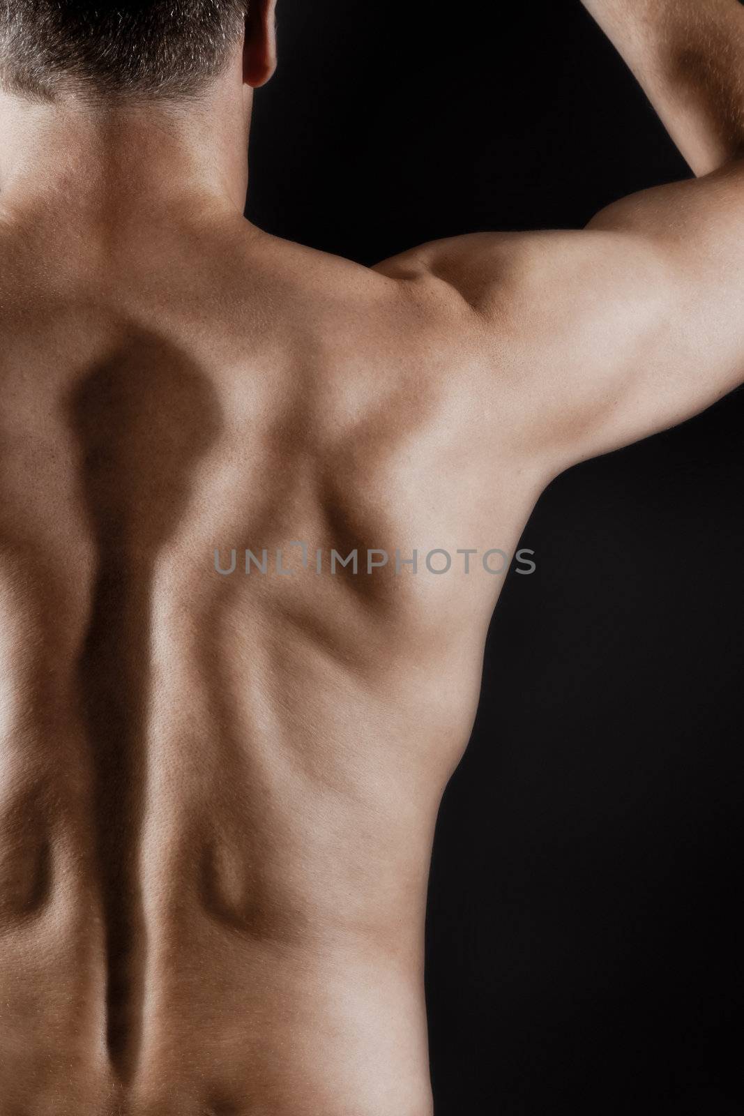 male back by magann