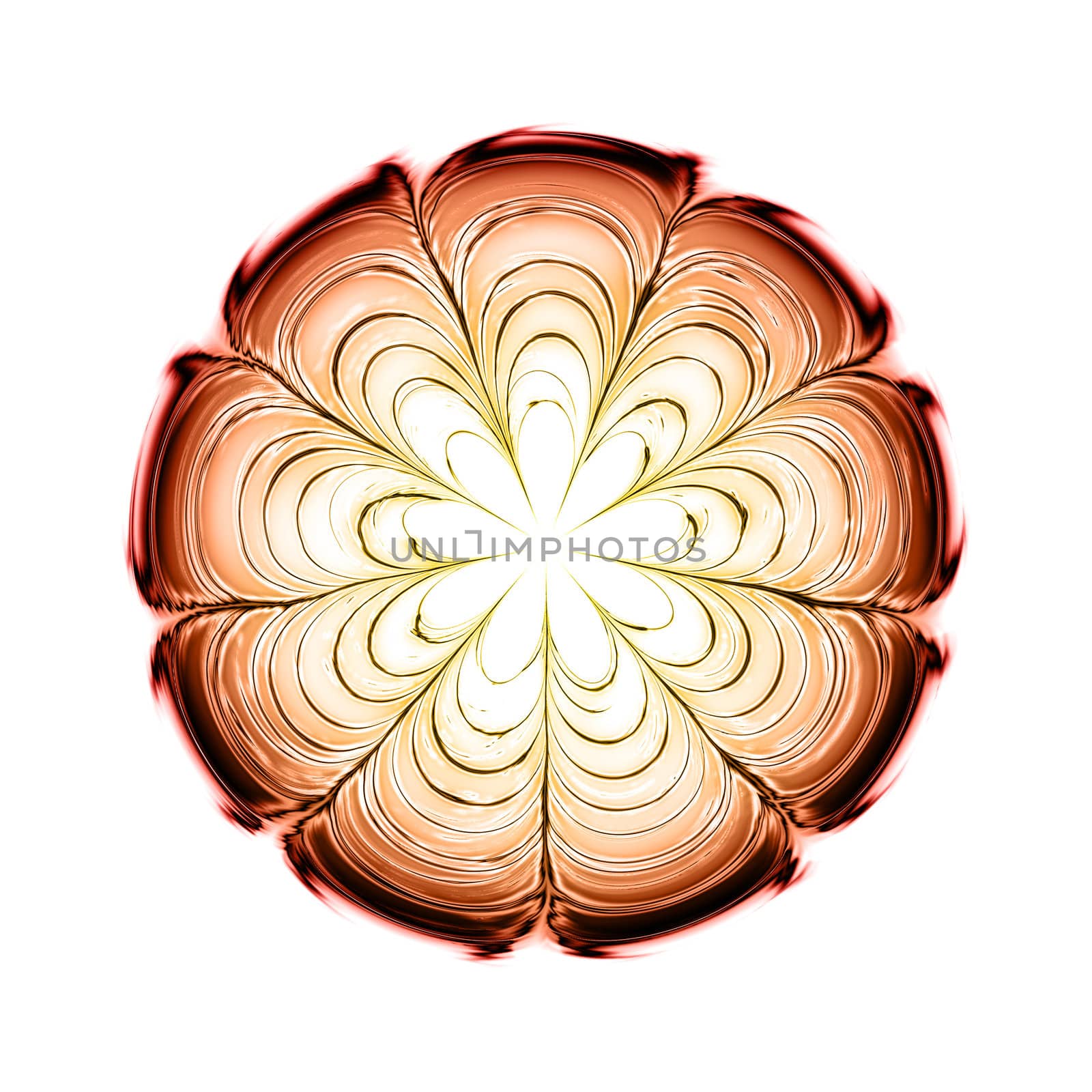 An image of a nice abstract red flower