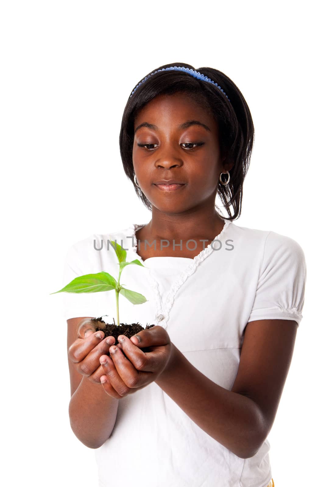 A young new plant growing from palm in hands of beautiful African girl, isolated. Drought on Earth concept.