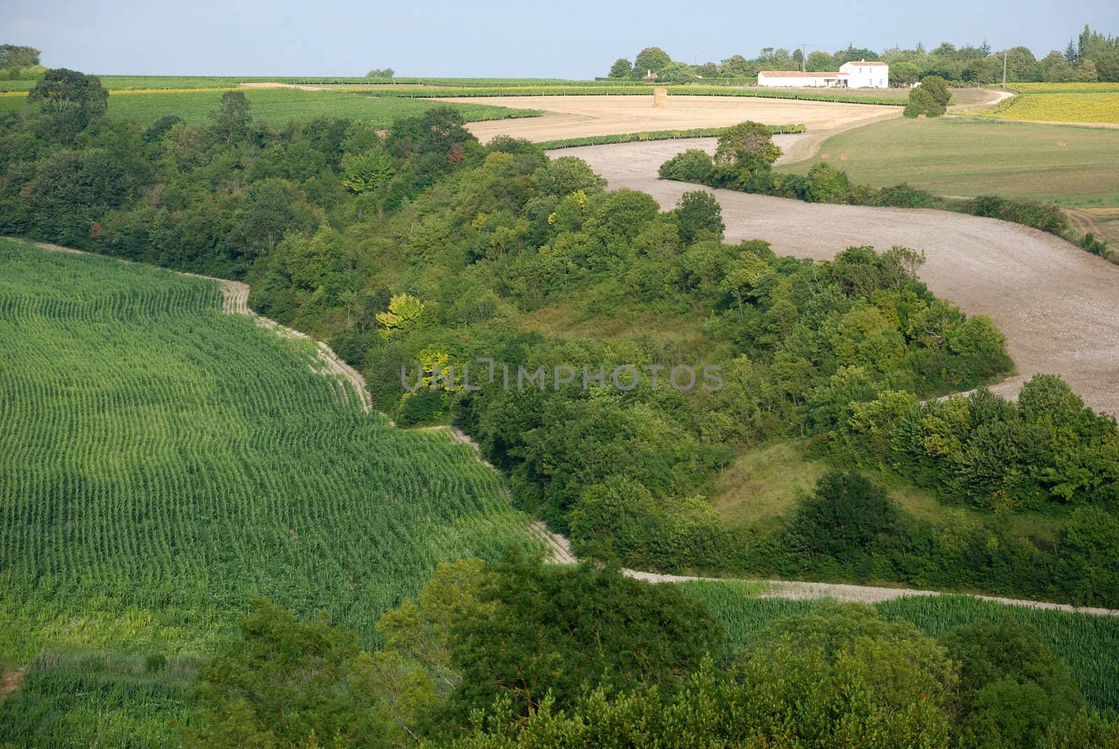 Rural landscape in Charentes