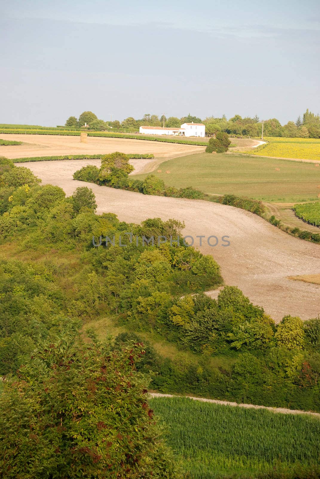 Rural landscape in Charentes