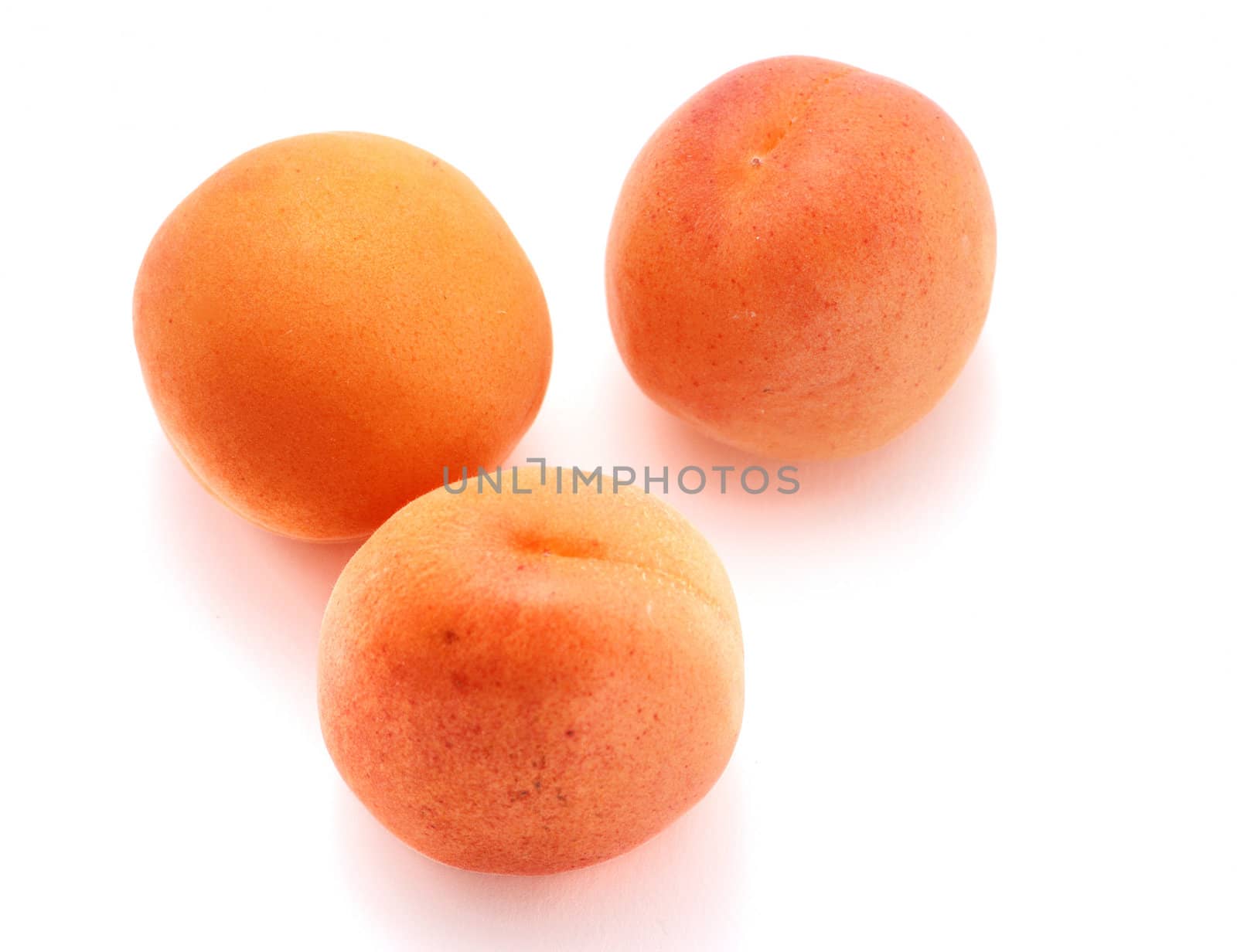 Apricot on white background