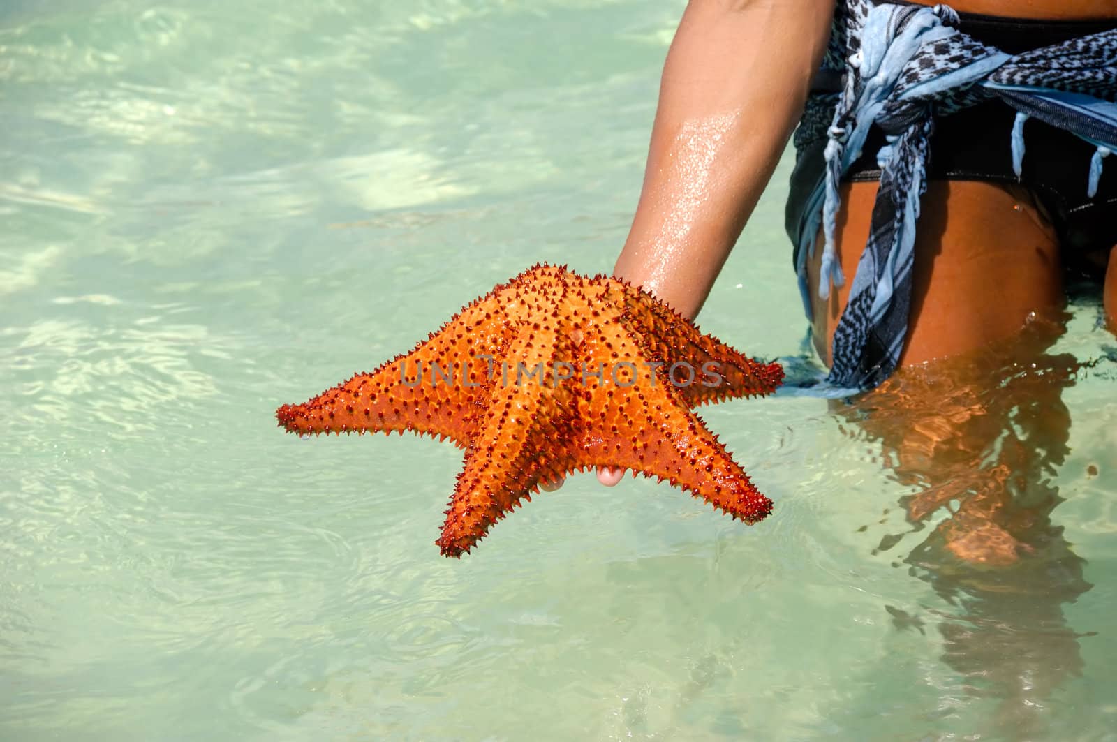 A woman is holding a red starfish in her hand.