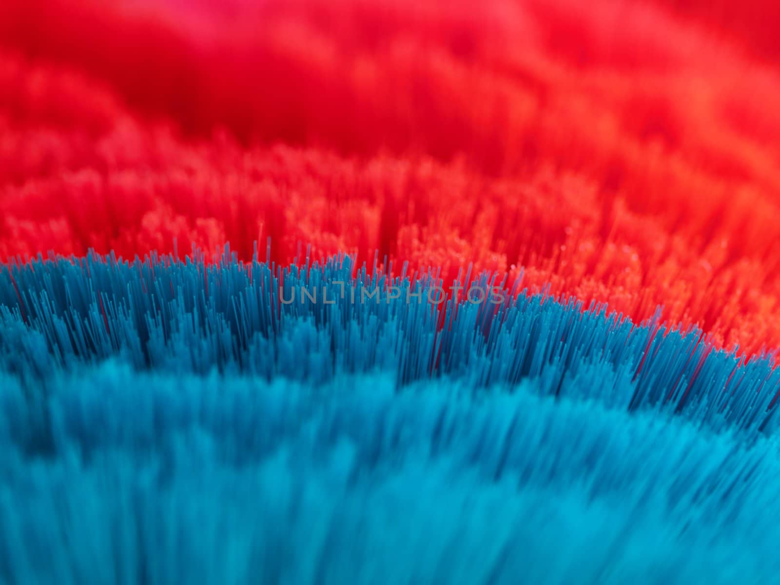Macro of red and blue cleaning brushes