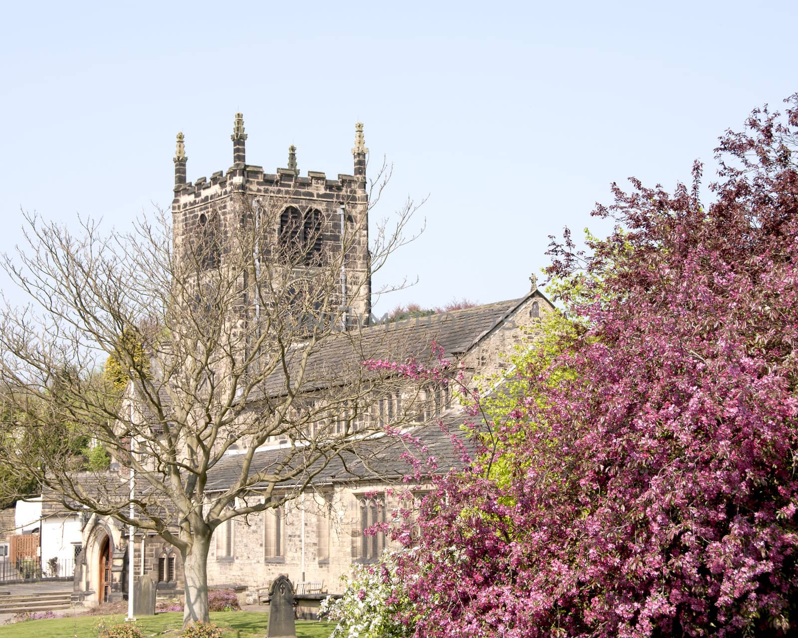 A Sixteenth Century Church in Yorkshire and a beautiful Flowering Cherry Trree