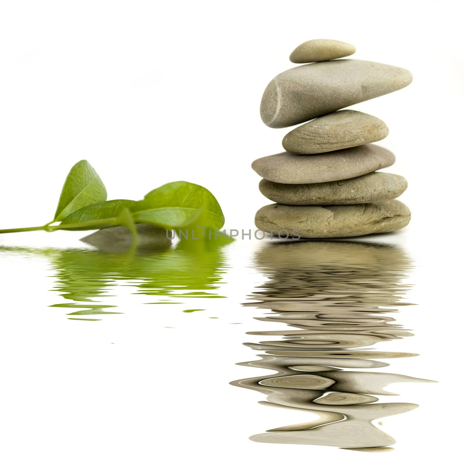 balanced spa stones with green plant and water reflection isolated on white background