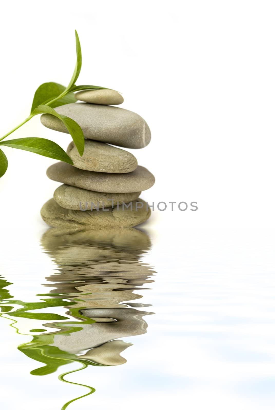 balanced spa stones with green plant and water reflection isolated on white background