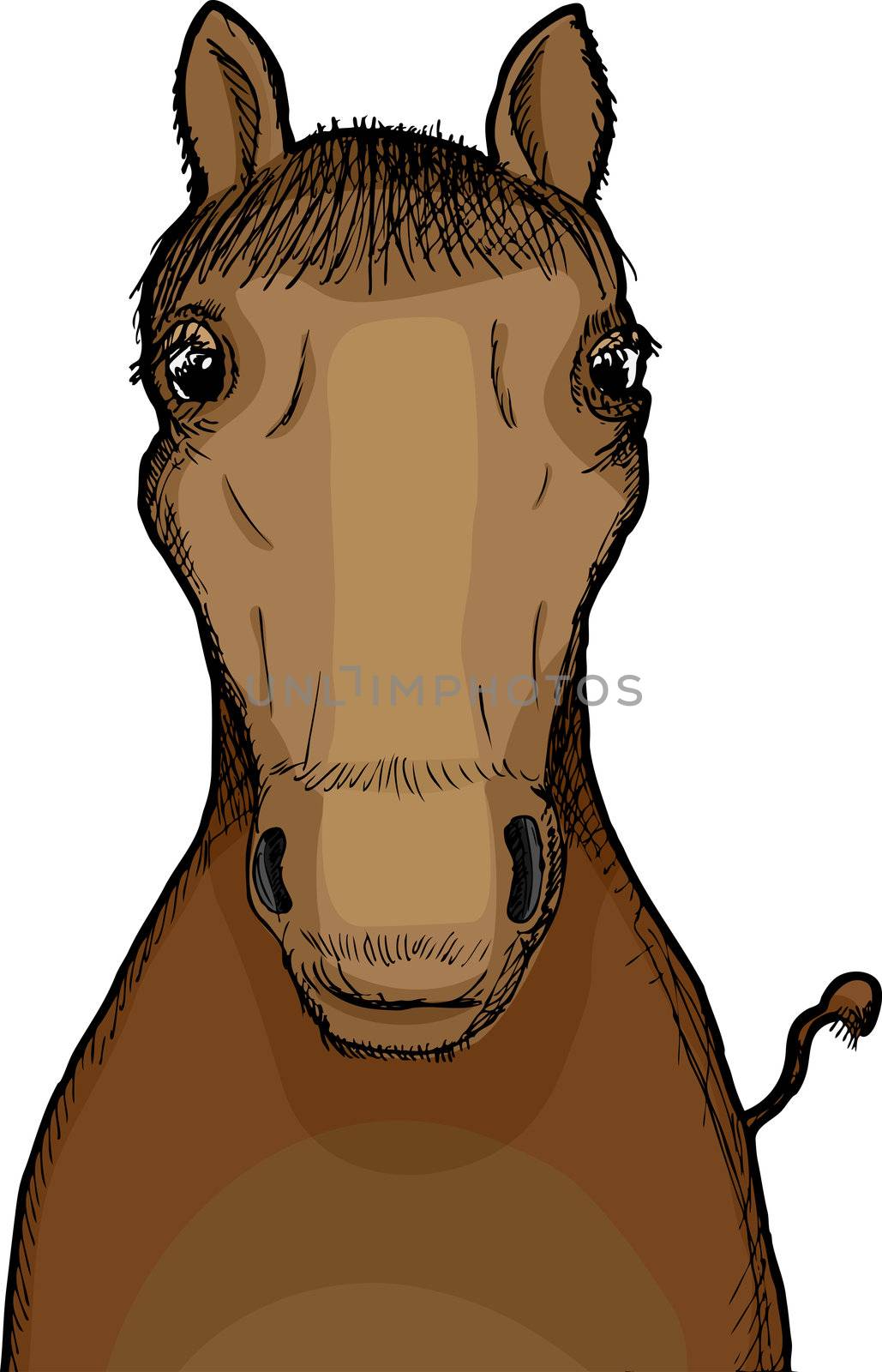 Horse Illustration by TheBlackRhino