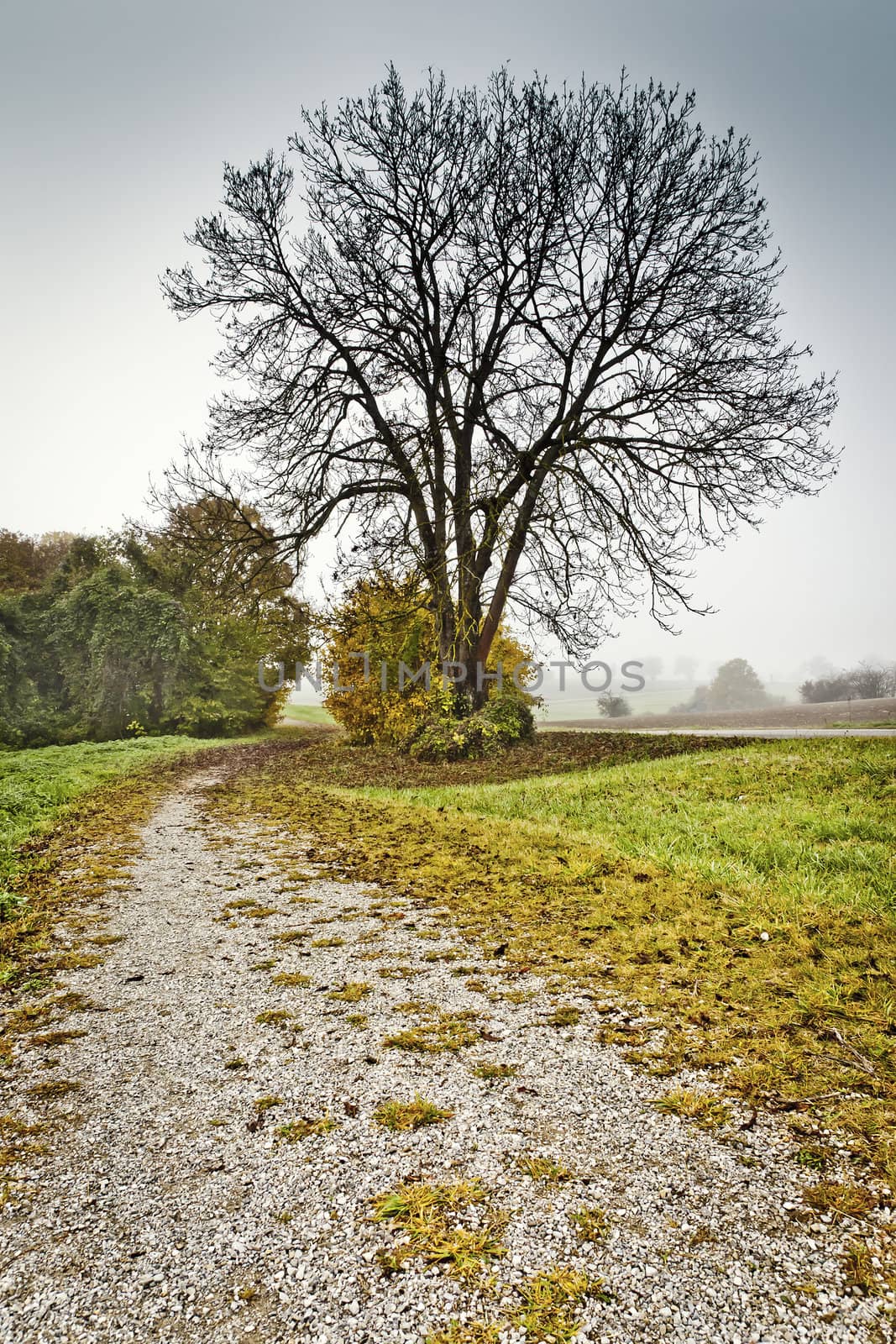 An image of a beautiful landscape with fog in bavaria germany