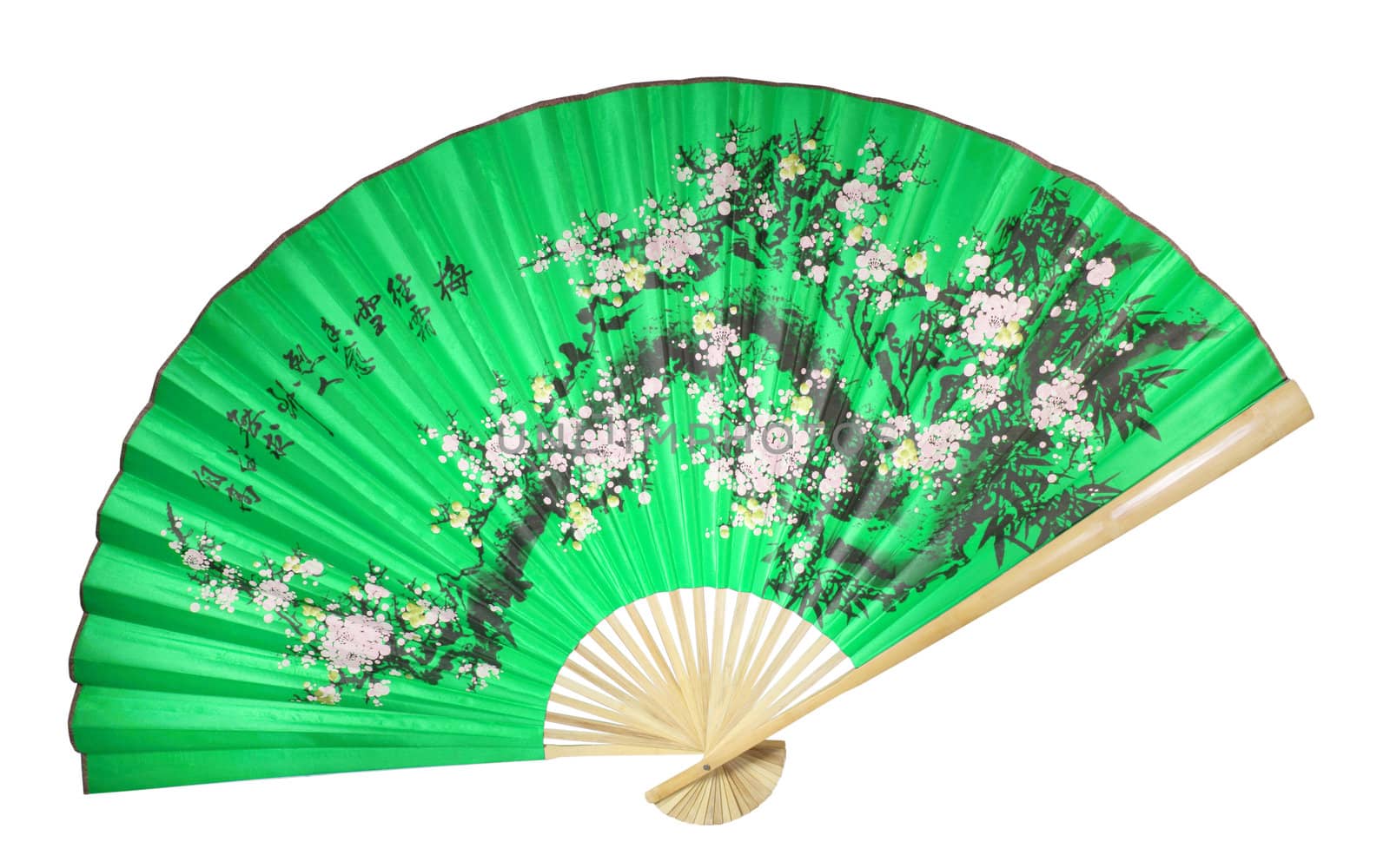 green Chinese fan on the white background. (isolated)
