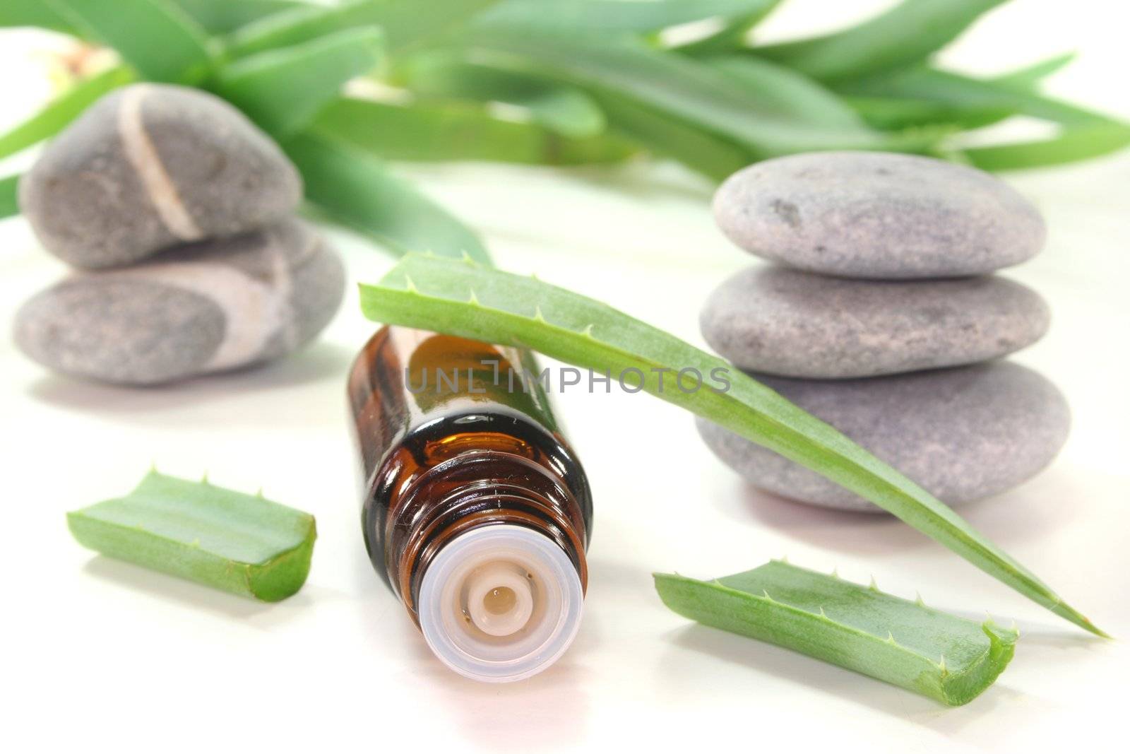 Aloe Vera drops with bottles, Aloe Vera and pebbles on white background