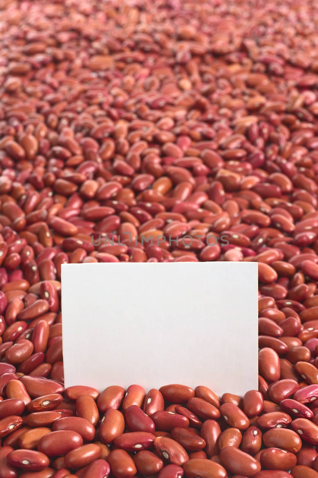 Raw red kidney beans with blank card (Selective Focus, Focus on the card)