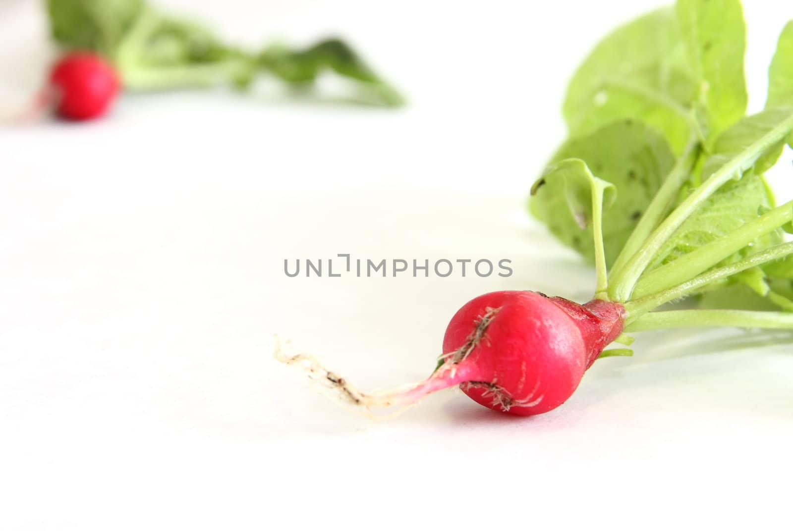 A couple of cherry belle radishes on white