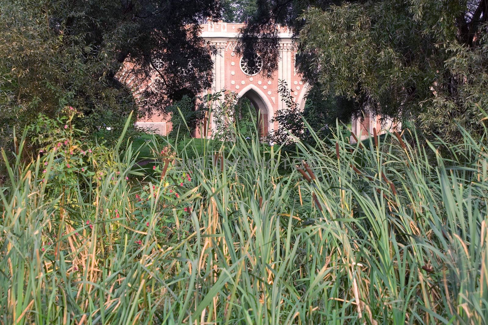 View of a fragment of red-and-white bridge through reeds and trees in Tsaritsino park.