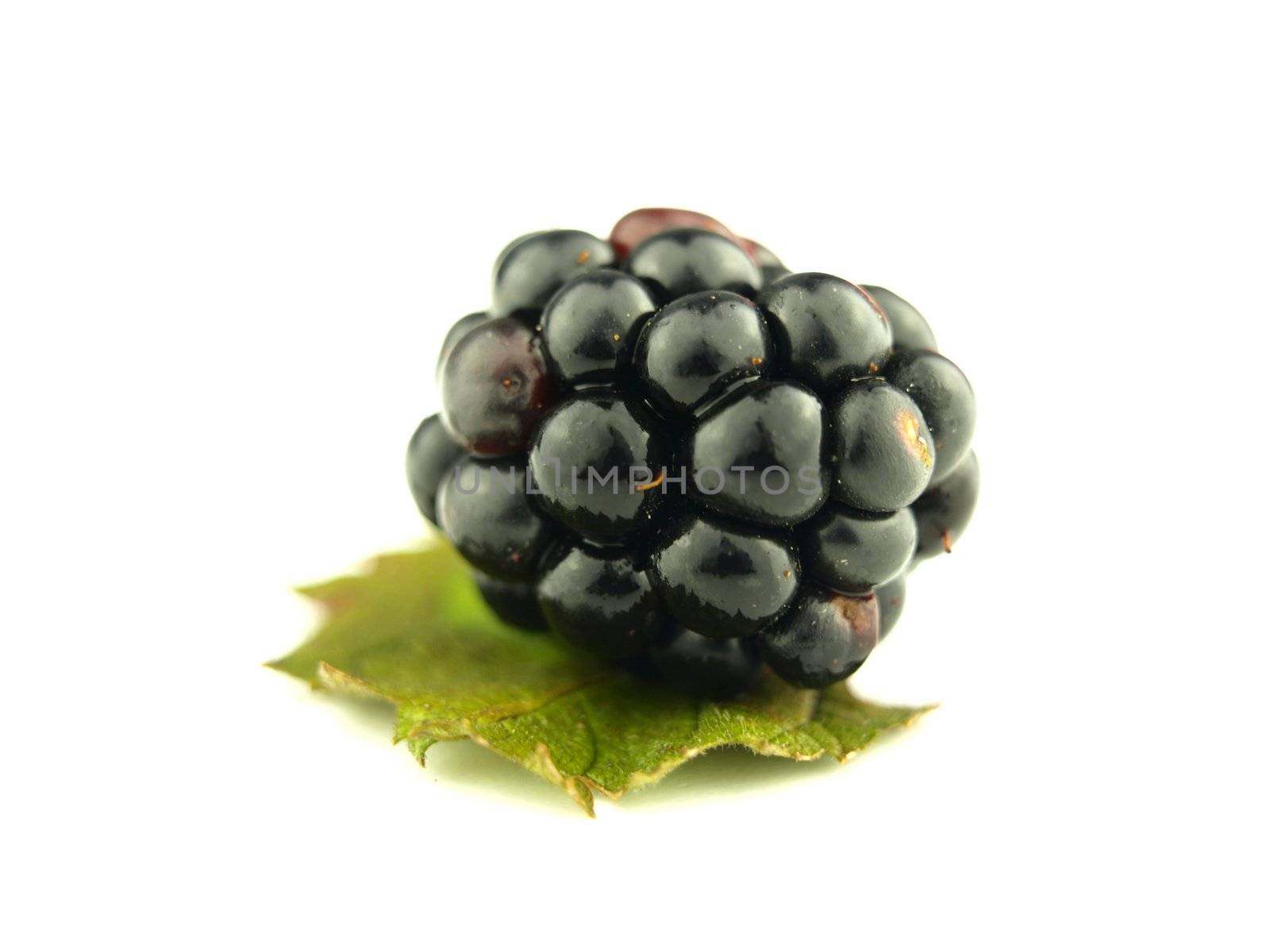 blackberry very close by luckyhumek