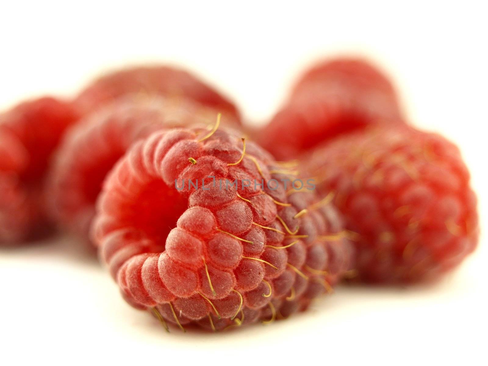 raspberry in zoom by luckyhumek