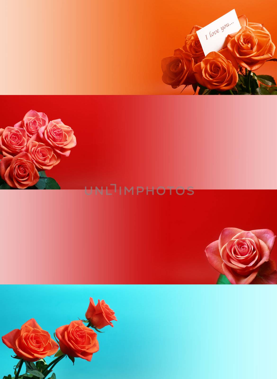 web banners with rose