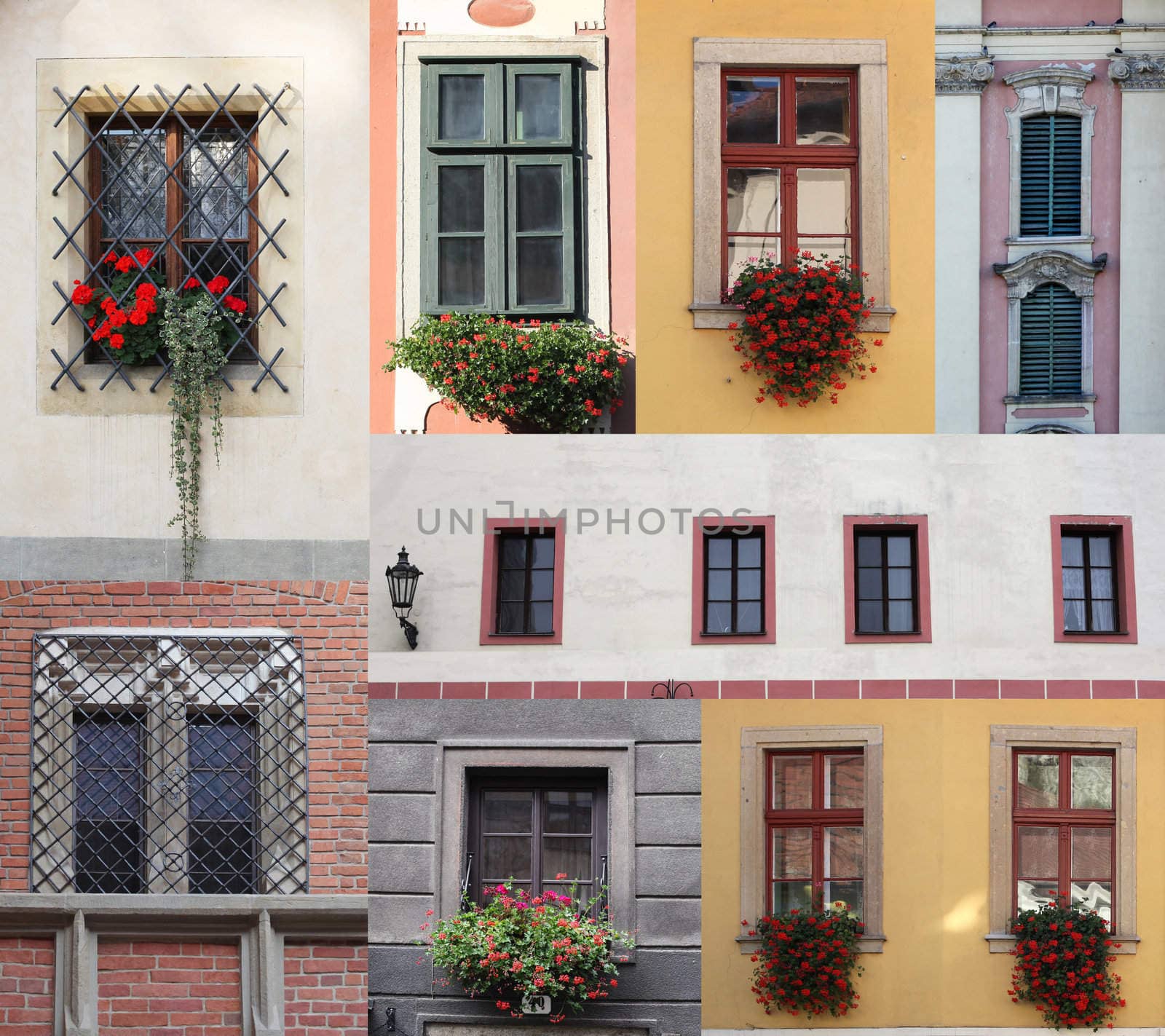 windows by rudchenko