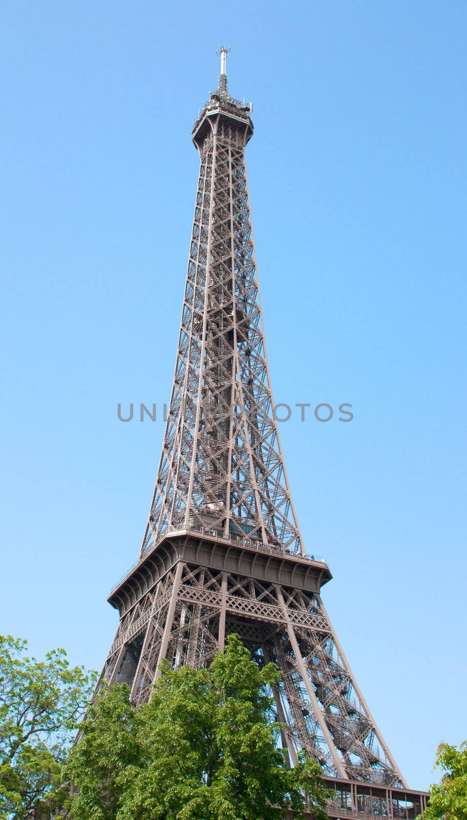 Perspective of the Eiffel tower with trees