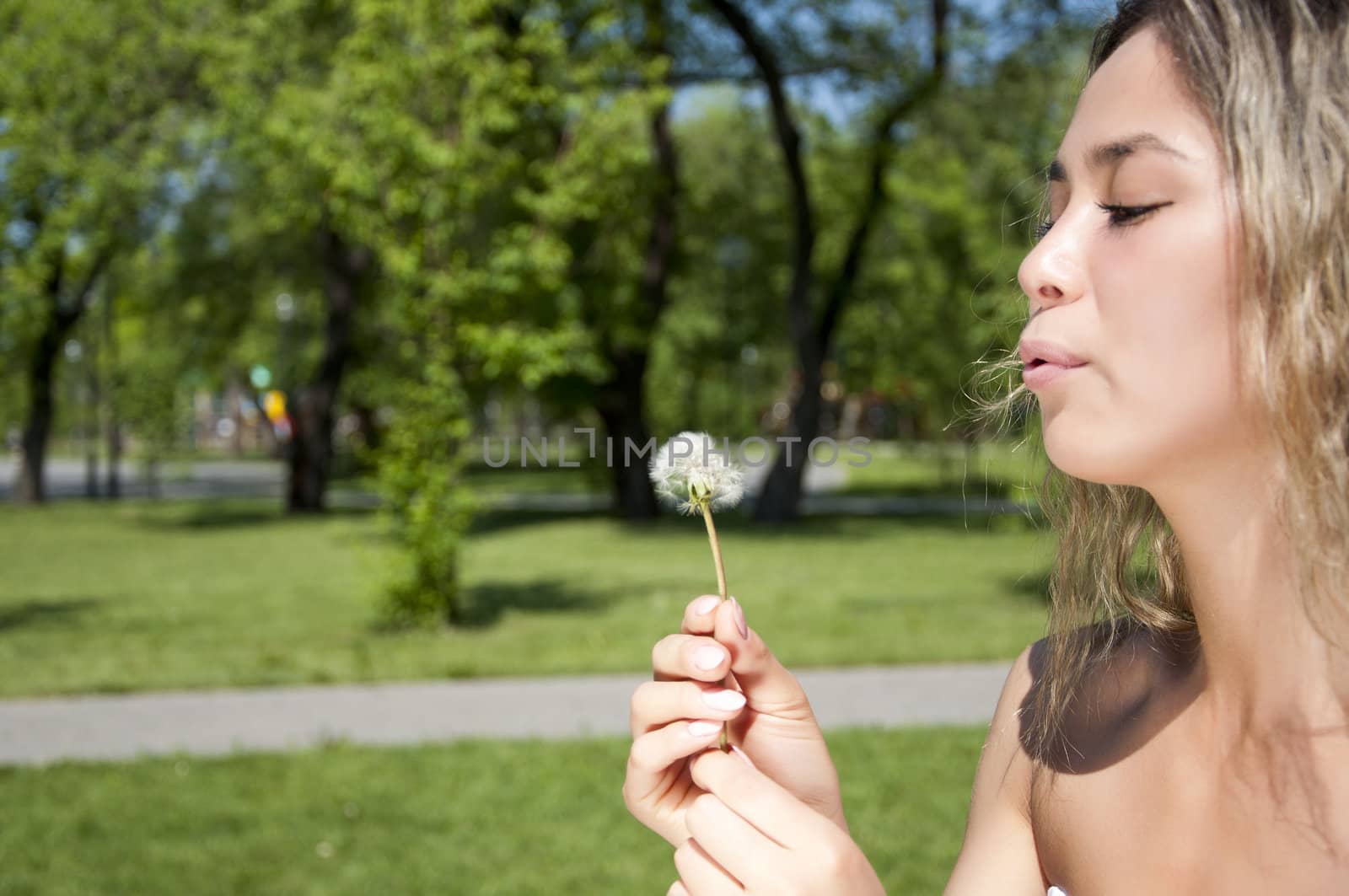 young girl blowing on the dandelion in park