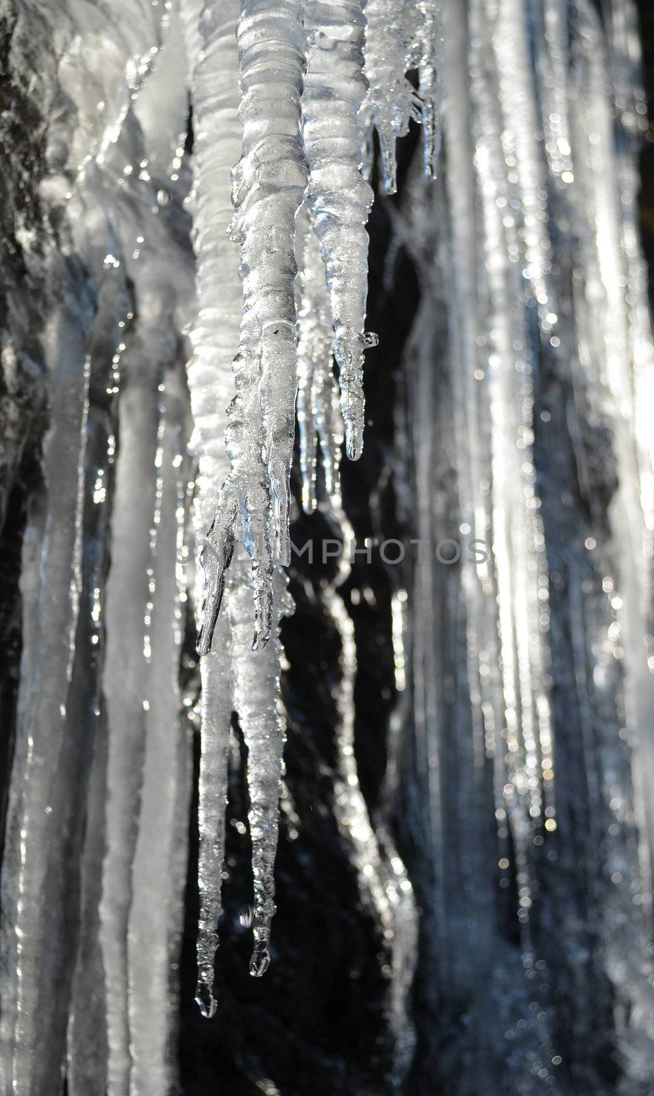 Icicles in the sun dripping water drops