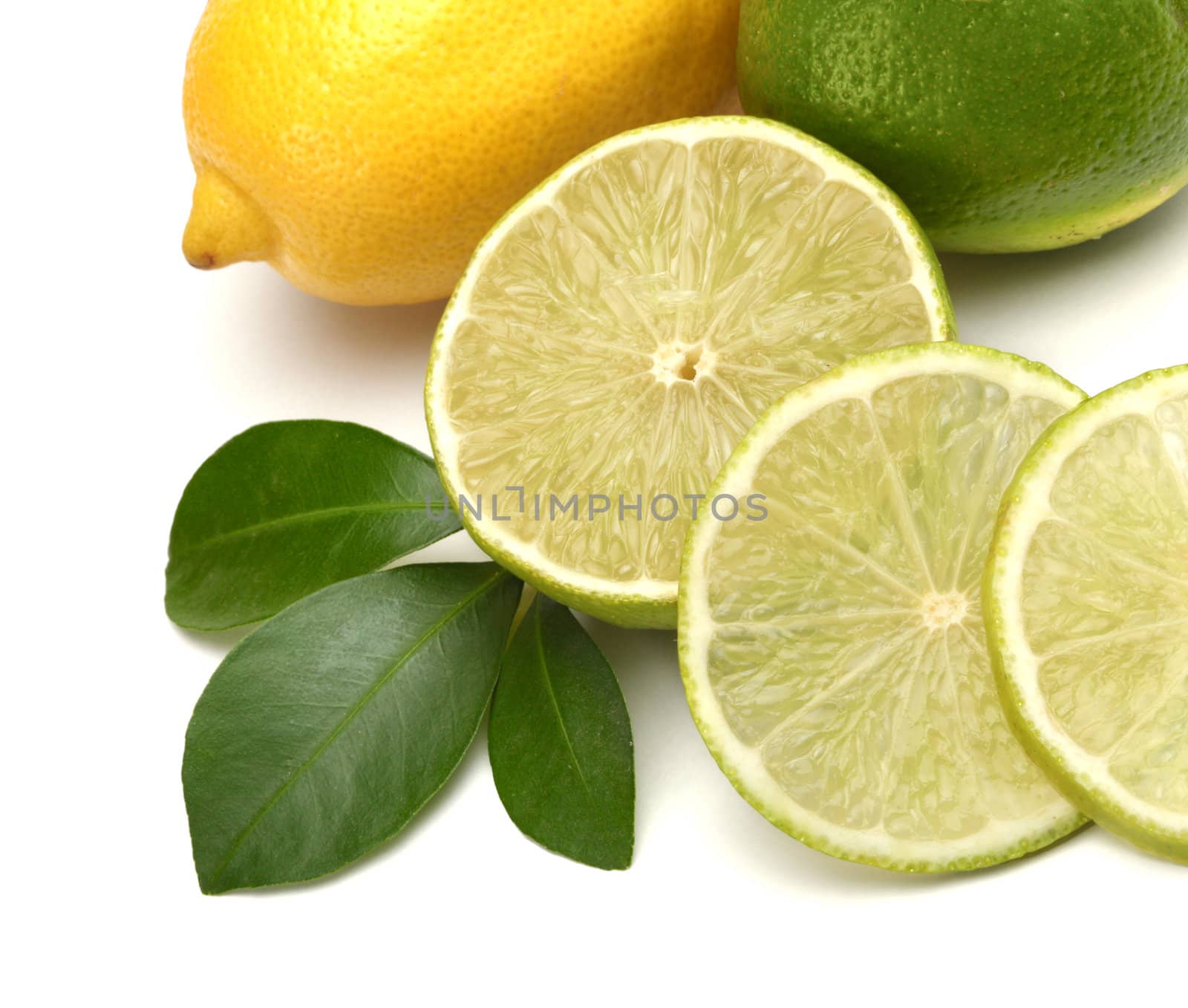 lime, lemon and leaf