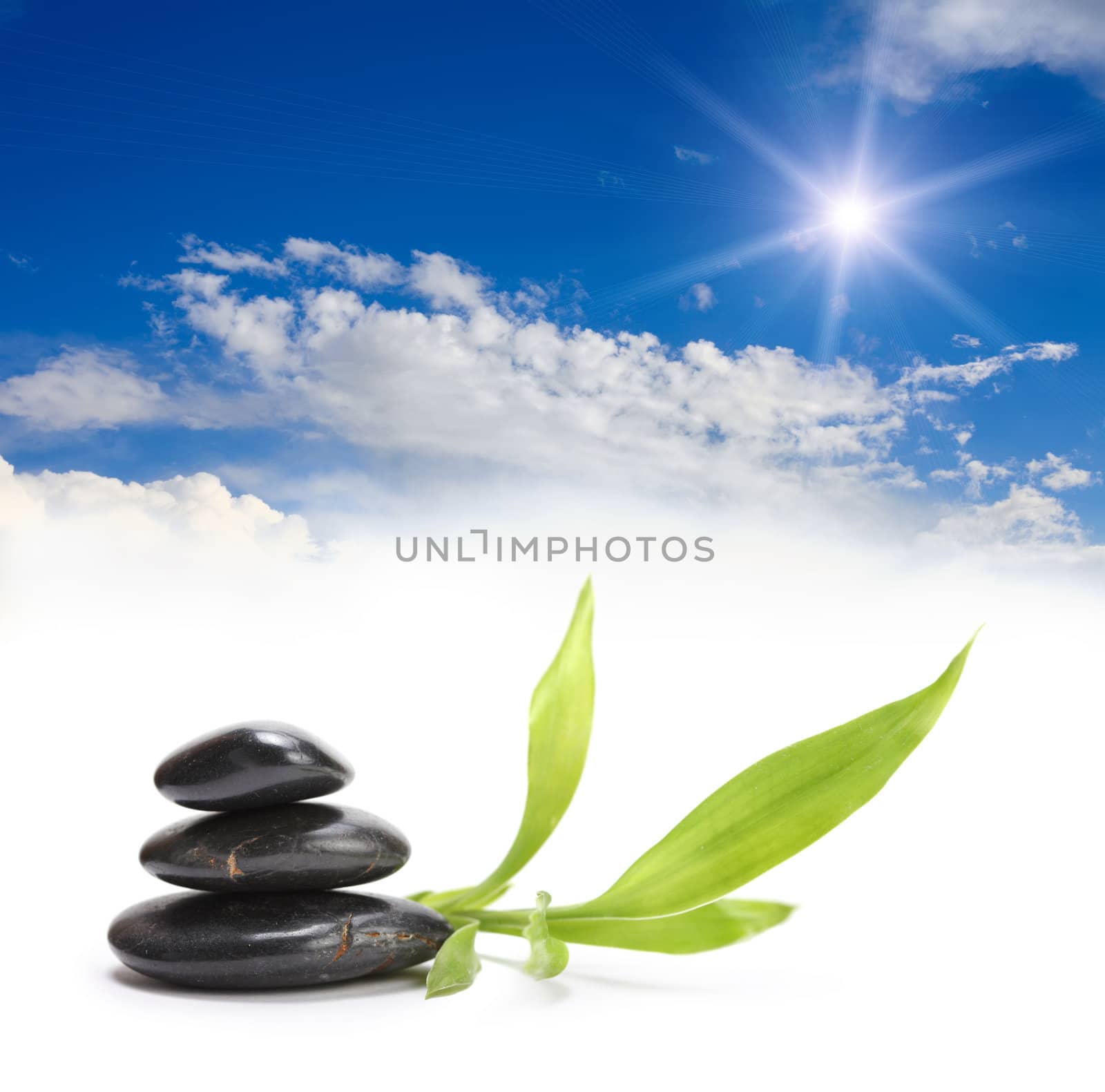 stones, leaf and sky