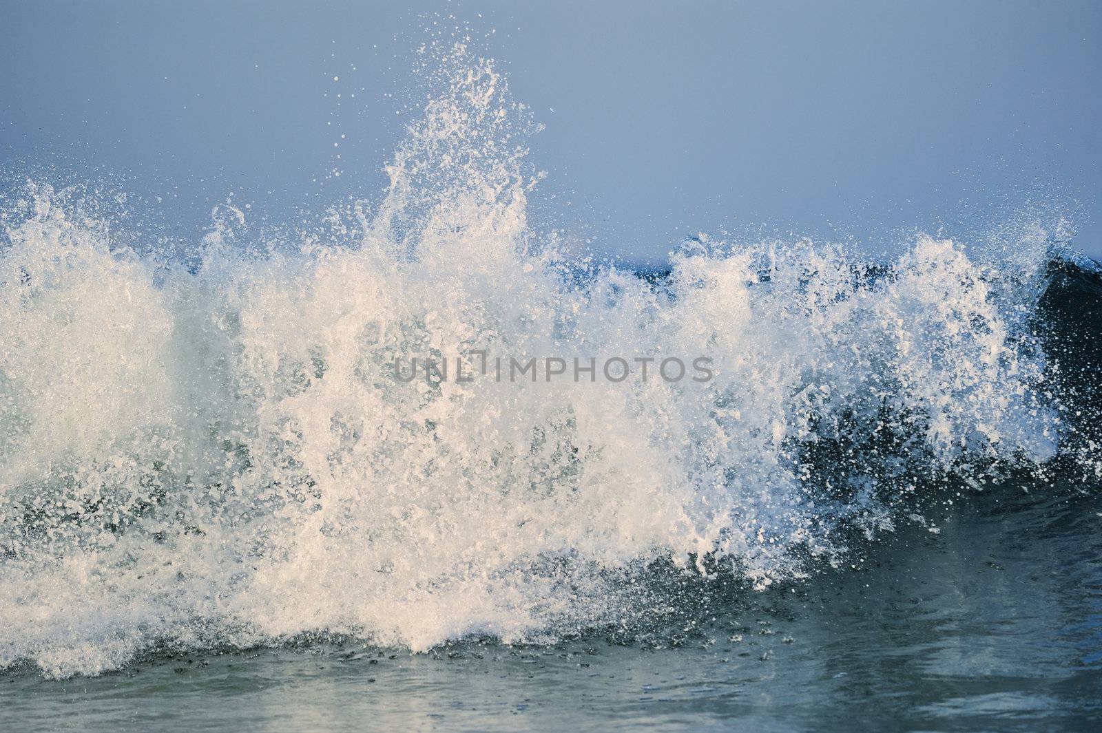 Tall wave on the surface of the sea
