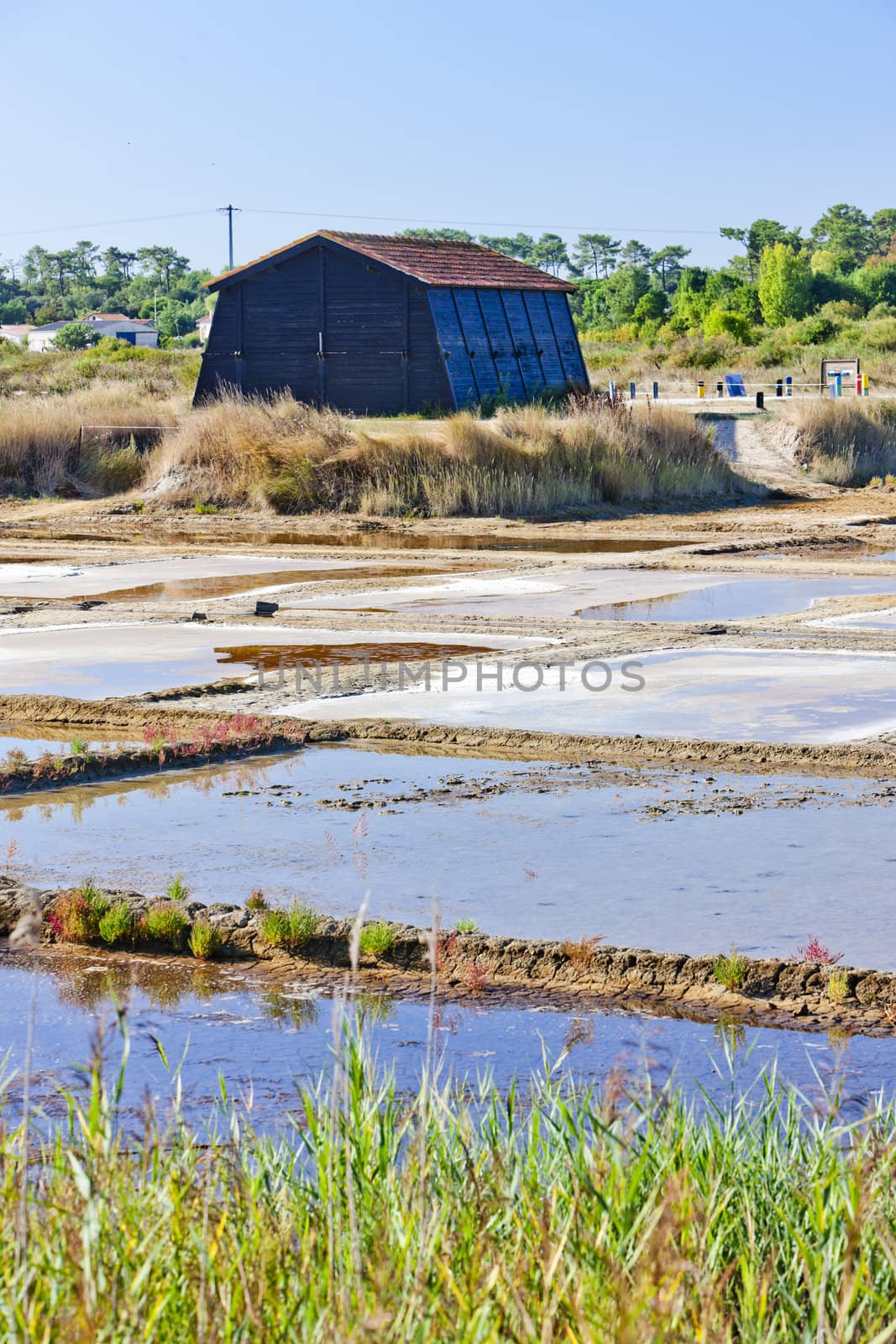 saline, Port des Salines, Oleron Island, Poitou-Charentes, Franc by phbcz