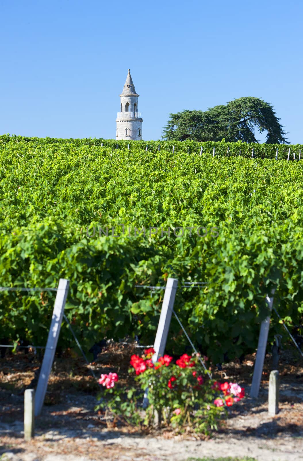 Chateau de la Tour, By, Bordeaux Region, France