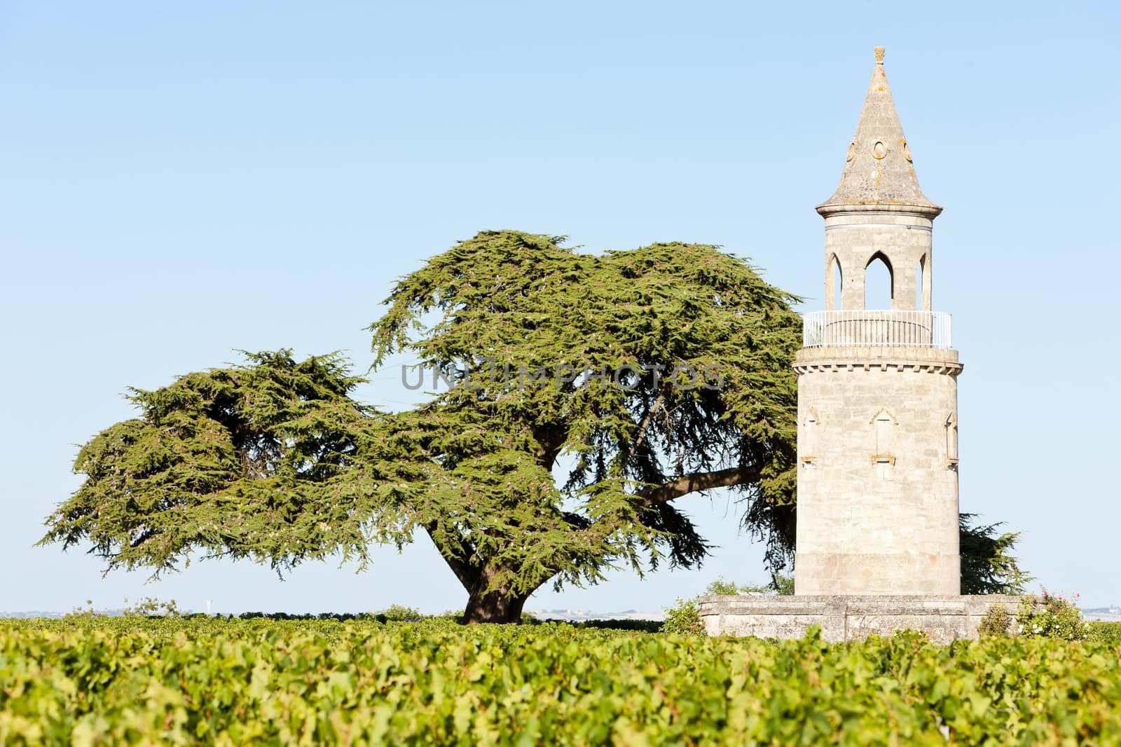 Chateau de la Tour, By, Bordeaux Region, France by phbcz