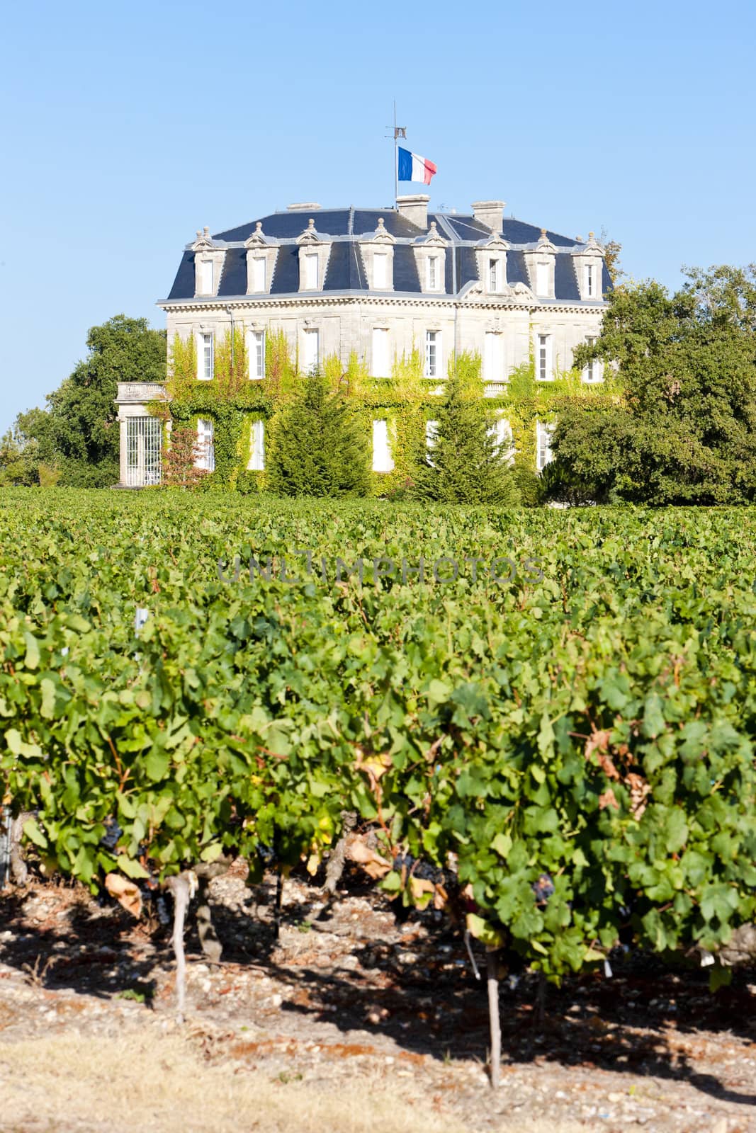 Chateau de la Tour, By, Bordeaux Region, France by phbcz
